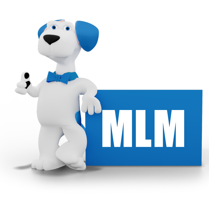 MLM Home Improvement and Ralph